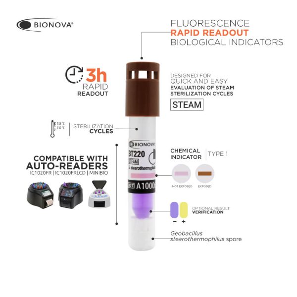 3h Biological Indicator for Steam - Image 4